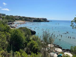 Case vacanza Da Domingo - Marina di Camerota - 0