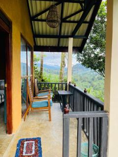 Rainforest Nature House - Deniyaya - 9