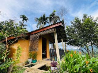 Rainforest Nature House - Deniyaya - 7