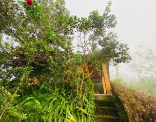 Rainforest Nature House - Deniyaya - 2