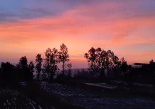 Sabo Resort - Panchgani - 2