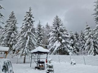 Cabana Armonia Naturii - 1