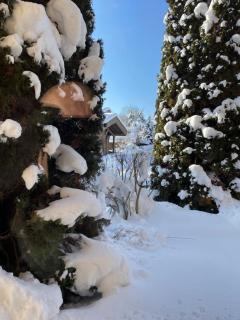 Megève - Chalet Miage - 8