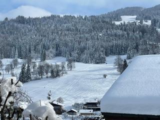 Megève - Chalet Miage - Demi-Quartier - 6
