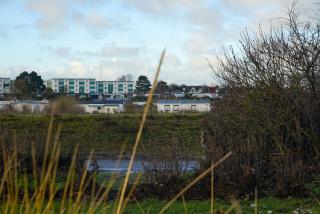 Apartment mit Meerblick - Heringsdorf - 2