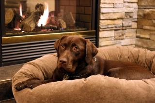 Best Western Plus Chocolate Lake Hotel - Halifax - Halifax - 9