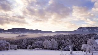 Landhaus Schusterfranz - 6