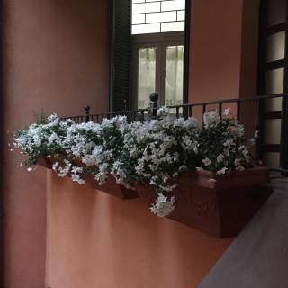 Casa di Emanuela - Spello - 5