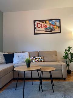 Under the Pine - Belgrado - 8
