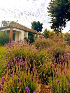 Hotel Boutique Casona Oriente - Cauquenes - 8