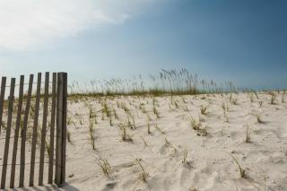 Sailor's Cove - Navarre - 5