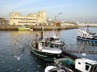 Charmant T2 avec Garage, Balcon Sud, à 250m Plage et 350m Marché Arago - FR-1-92-575 - Les Sables-dʼOlonne - 6