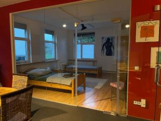 140 qm großes Loft mit 2 Schlafzimmern im Fabrikstil - Groß-Umstadt - 2
