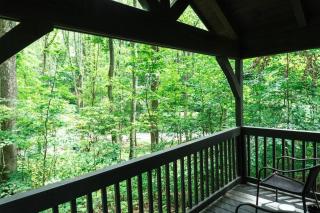 Tiny Home Cottage Near the Smokies #9 Frieda - Sevierville - 7