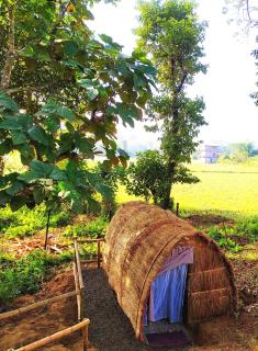 Pemsee's Tree Town - Eco-friendly,Tree house hostel - Sauraha - 2