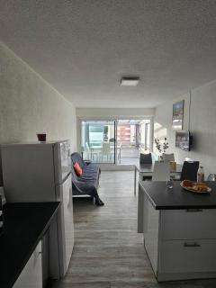 La Fleur de Roseau 200m de la plage 300 m des Commerces - 1