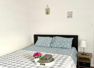 Private room in Dallas near downtown - Dallas - 1