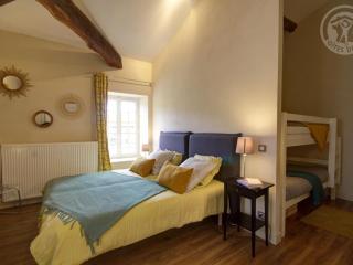 Gîte historique au cœur du Parc du Pilat – 14 pers, 3 ch, 3 sdb, wifi, jardin, animaux acceptés - FR-1-496-136 - Sainte-Croix-en-Jarez - 1