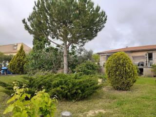 Petit Paradis chez Pascale et Bernard - Cazouls-lès-Béziers - 4