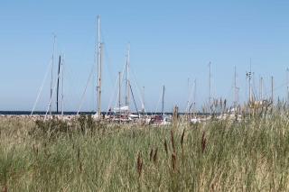 Familien Ferienhof Lucky bei Kühlungsborn OFC 08 - 9
