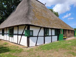 Ferienhof Schwalbennest OFC 24 - 9