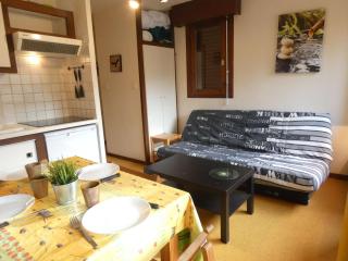 T2 Confortable 4 Pers à St-Lary Soulan - Balcon Sud, Parking, Accès Spa et Salle de Musculation - FR-1-457-267 - Vignec - 0