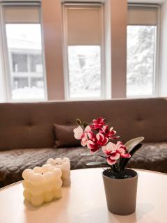 Apartman Snow White Bjelasnica - Bjelašnica - 2