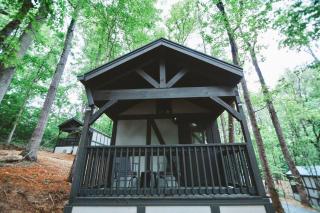 Tiny Home Cottage Near the Smokies #11 Mina - 8