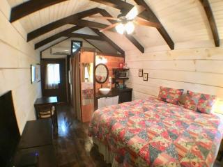 Tiny Home Cottage Near the Smokies #11 Mina - 7