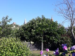 Maison de charme avec piscine, proche de la Creuse et attractions touristiques - FR-1-591-62 - Le Menoux - 7