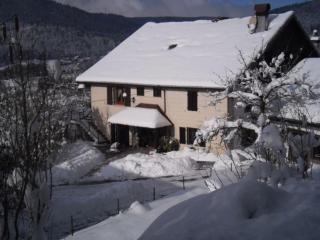 Gîte rénové avec randonnées et ski à proximité, à 6 km de Remiremont - FR-1-589-151 - 1