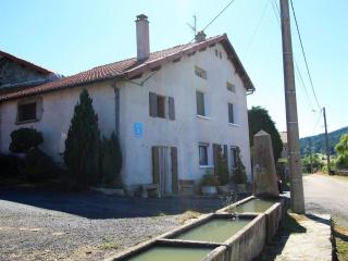 Gîte confortable en hameau calme près du Puy en Velay – 2 chambres, équipement bébé, terrain fermé - FR-1-582-141 - Lantriac - 1