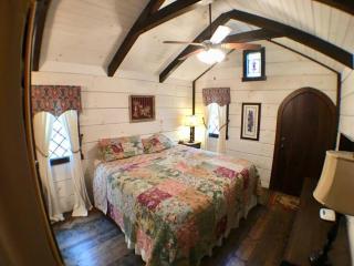 Cozy Cabin Near the Smokies #12 Carlotta - 5