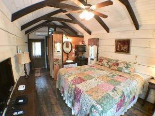 Cozy Cabin Near the Smokies #12 Carlotta - 6