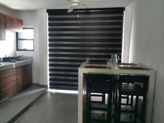 dept Miraflores - Zihuatanejo - 4