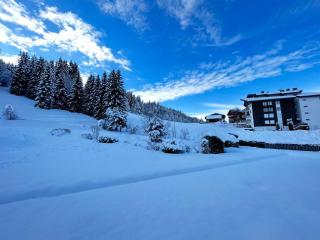 Appartement 3* aux Gets, proche des pistes, balcon et terrasse, offre tout confort ! - FR-1-623-250 - Les Gets - 3