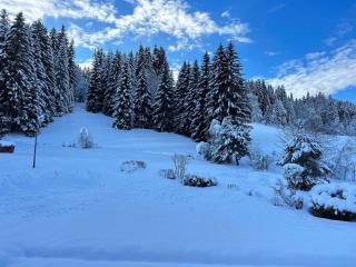 Appartement 3* aux Gets, proche des pistes, balcon et terrasse, offre tout confort ! - FR-1-623-250 - Les Gets - 2