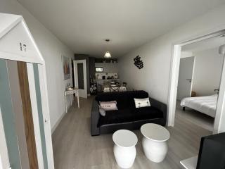 Appartement 3 pièces à 100m de la plage avec grande terrasse et WIFI – Les Sables-d'Olonne - FR-1-197-537 - Les Sables-d'Olonne - 1