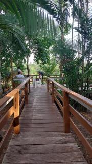Seringal jungle Lodge - Careiro - 9