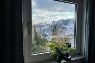 Ferienhaus Alpine, Winterberg Beste Lage Kappeblick - Winterberg - 1