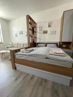 Apartments Studio Center - Sarajevo - 4