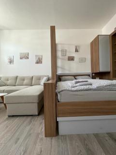 Apartments Studio Center - Sarajevo - 8