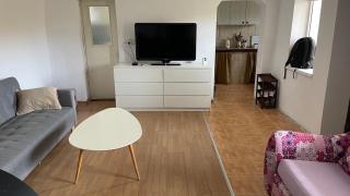 Cabana Nicu Odverem - - 8