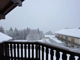 Appartement 4 pers, proche pistes et commerces, Crest-Voland - FR-1-733-150 - Crest-Voland - 1
