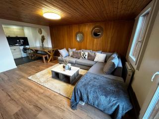SNOW NEST: Superbe cocon enneigé - Crans-Montana - 9