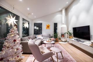 Pearl of Arctic Circle - Rovaniemi - 7