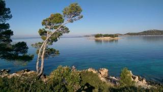 Apartment Prcela 2 - Dolac - 1