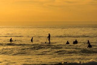Quest Cronulla Beach - Cronulla - 3
