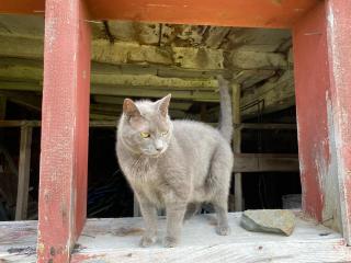 Bloom Farm Guesthouse - 4