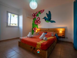 Kolibri - Piscine & Piscine - Sainte-Anne - Sainte-Anne - 5